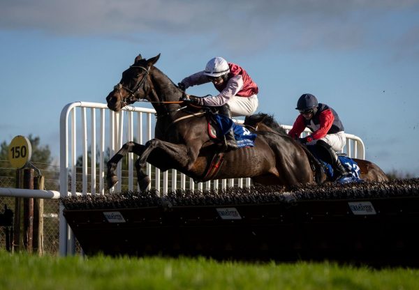 Piccolo Player Vadamos Limerick