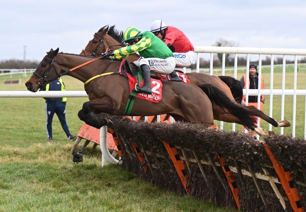 Pinkerton (Ocovango) Wins His Maiden Hurdle At Thurles