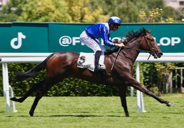 Pistoia (wootton bassett) Wins On Debut