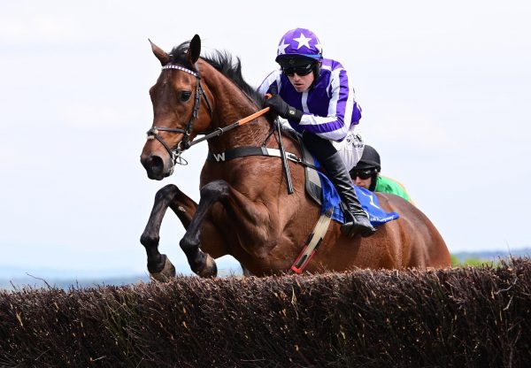 Pointofdifference Crystal Ocean Bartlemy