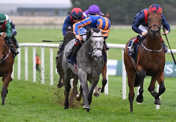 Port Ferdinand Camelot Naas