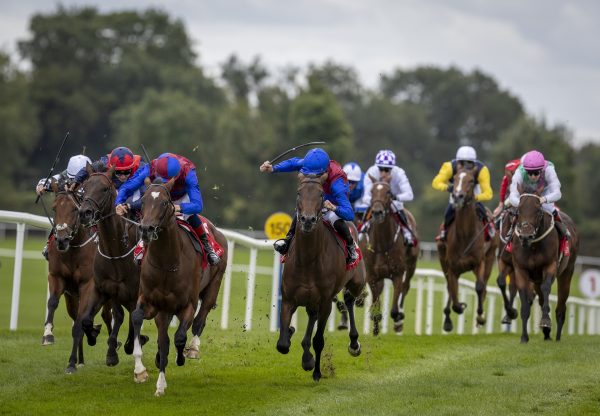 Port Of Spain St Marks Basilica Punchestown