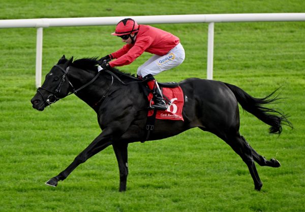 Powerful Nation (sioux nation) Wins The Listed Midsummer Sprint Stakes