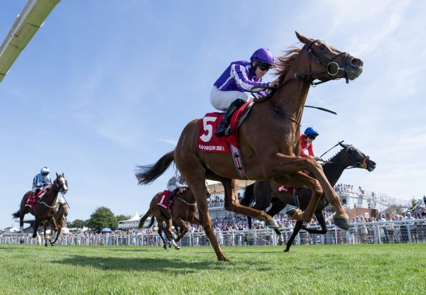 Precise (starspangledbanner) Goodwood