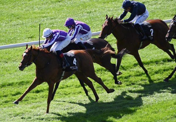 Precise Starspangledbanner Curragh