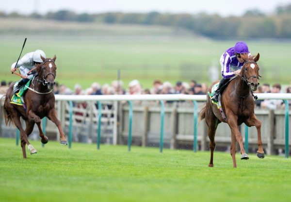 Precise Starspangledbanner Newmarket