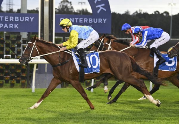 Pretty Powerful (Yes Yes Yes) Canterbury 750