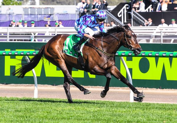 Pride Of Jenni Empire Rose 2025 750