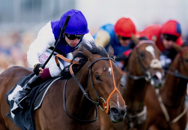 Principality (Calyx) Wins At Goodwood