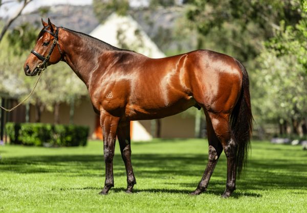 Private Life Conformation Shot