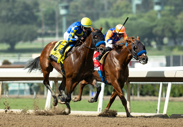 Privman Justify Wins Tokyo City Cup