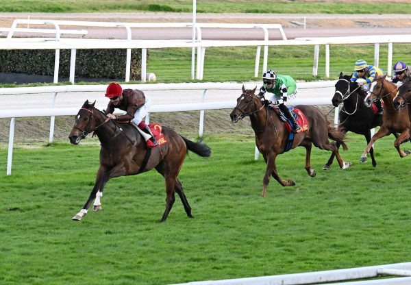 Puchkine (Starspangledbanner) winning at Toulouse