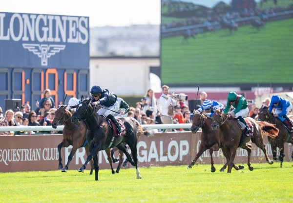 Puerto Rico Wootton Bassett Longchamp