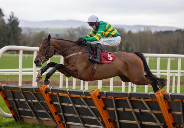 Pure Steel (Yeats) Wins The Maiden Hurdle At Cork