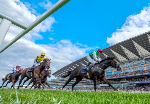 Pyledriver Winning At Royal Ascot