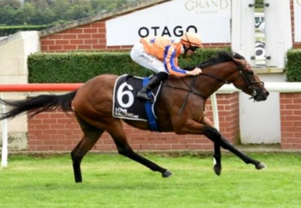 Queens Evidence (King's Legacy) Wingatui 750