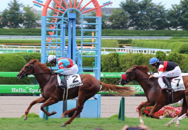 Quiet Eye (St Mark's Basilica) Japan