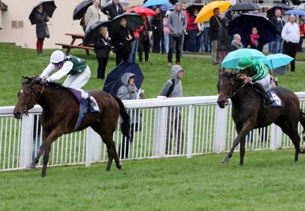 Rock My Love (Holy Roman Emperor) winning the Listed Winterkonigin Trial at Cologne