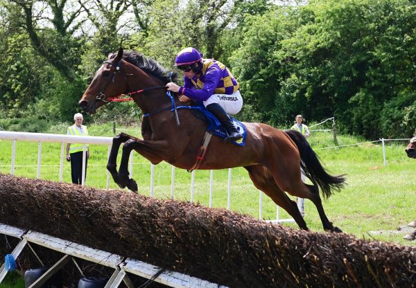 Red Acres Georgie (Order Of St George) winning at Ballindenisk
