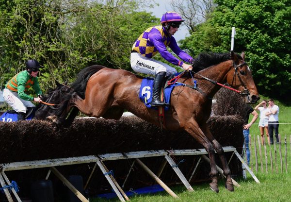 Red Acres Georgie (Order of St George) Wins The 4 Yo Maiden At Ballindenisk