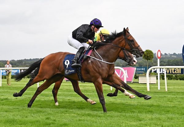 Red Earth (no nay never) Wins On Debut At Naas