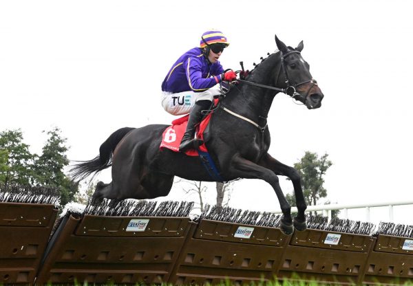 Reiki Revolution Wings Of Eagles Punchestown