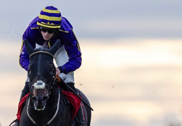 Reiki Revolution (Wings of Eagles) Wins The Bumper At Galway