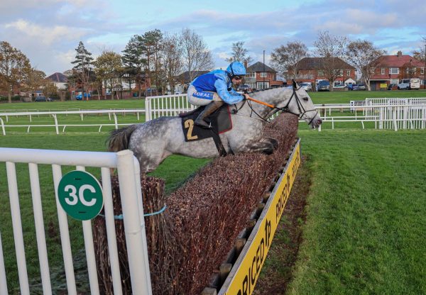 Resplendent Grey Walk In The Park Carlisle