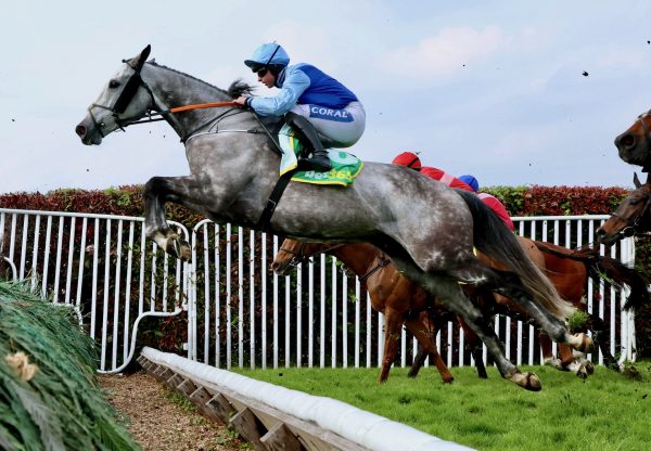 Resplendent Grey (Walk in the park) Wins The Bet365 Gold Cup Sandown