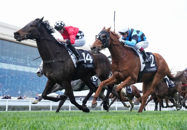 Revelare (so you think) Caulfield 750