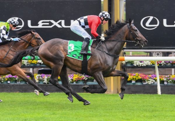 Revelare (So You Think) Flemington 750