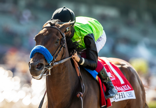 Richi (Practical Joke) Gr 2 Santa Maria