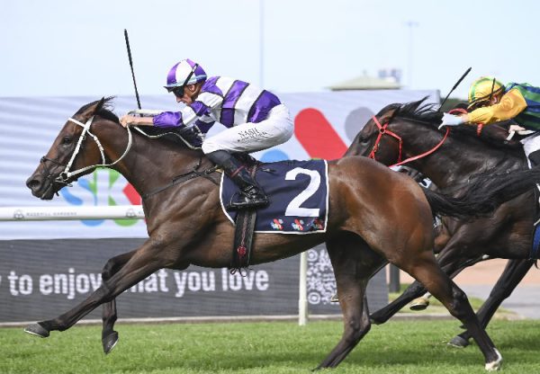 Riff Rocket (American Pharoah) wins the Gr.1 Rosehill Guineas at Rosehill