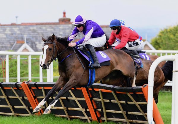 Roisins Ciara (Ocovango) Wins The Mares Maiden Hurdle At Wexford