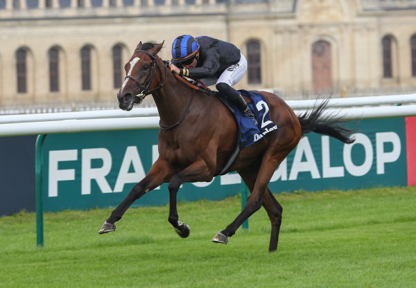Rosa Salvaje (Maximum Security) Wins Gr 3 Prix Chloe