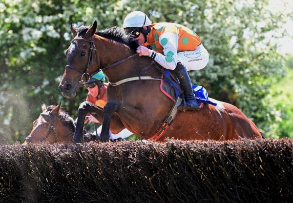 Royale Rocker (Getaway)Wins On Debut At Ballindenisk