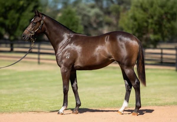 Smb X Good Vibes 750