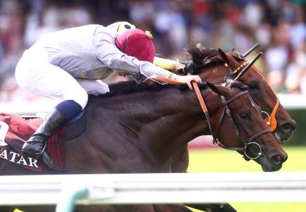 Sahlan (Wootton Bassett) Longchamp