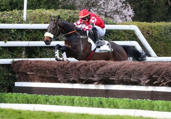 Sainte Crystal (Crystal Ocean) Listed Hurdle Auteiul