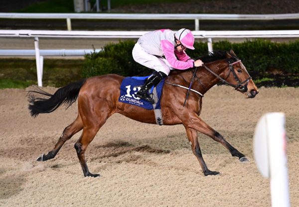 Salah Belle (Calyx) Wins On Debut At Dundalk