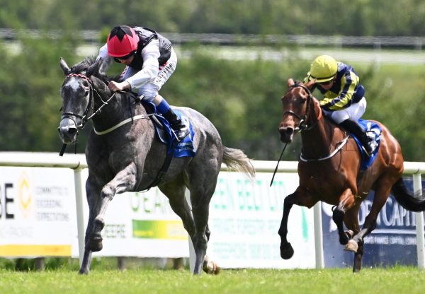 Sara Valentina (No Nay Never) Wins Her Maiden At Limerick