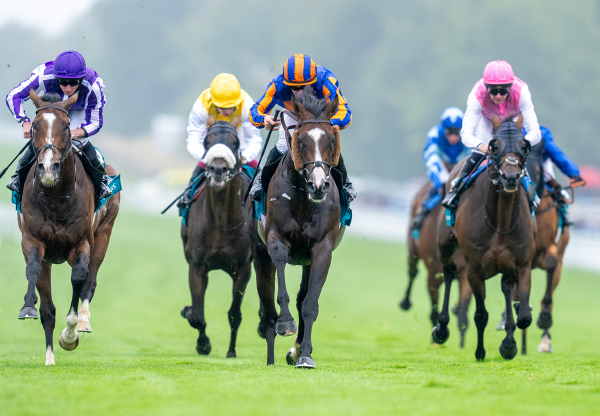 Scandinavia (Justify) Wins Gr 1 Goodwood Cup