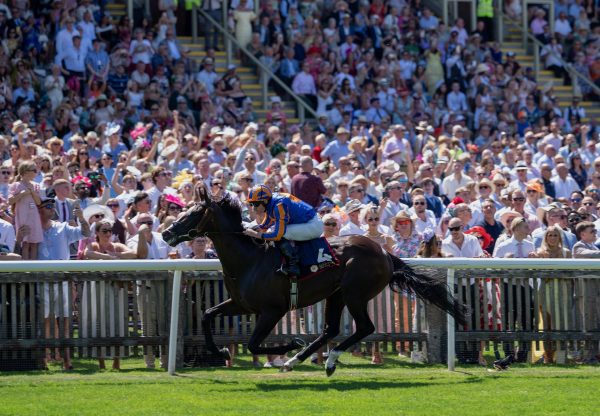 Scandinavia (justify) Wins The Bahrain Trophy