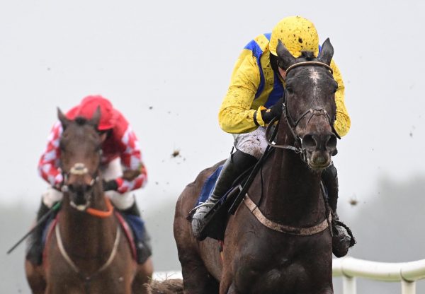 Seabank Bistro (Walk In The Park) Makes An Impressive Debut At Naas