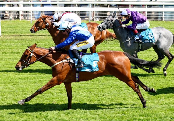 Secret Hideaway (Starsapngledbanner)  Wins The Listed Marygate Stakes