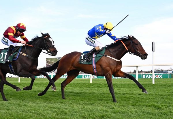 Seo Linn (Order of St George) Wins The Grade 2 Mares Bumper At Aintree