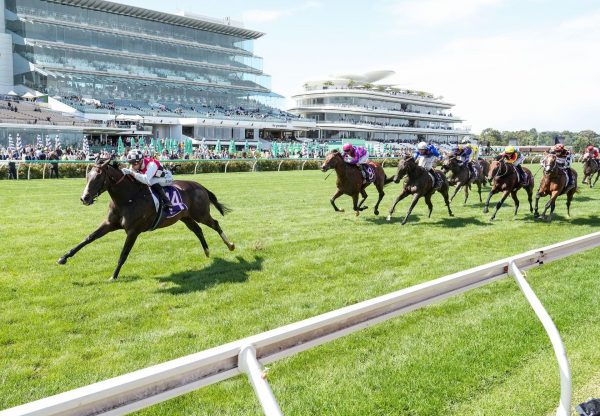 Sepal (Calyx) G3 CS Hayes