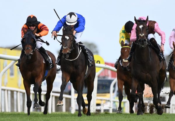 Seven Eleven (Ten Sovereigns) Gets Off The Mark At Down Royal