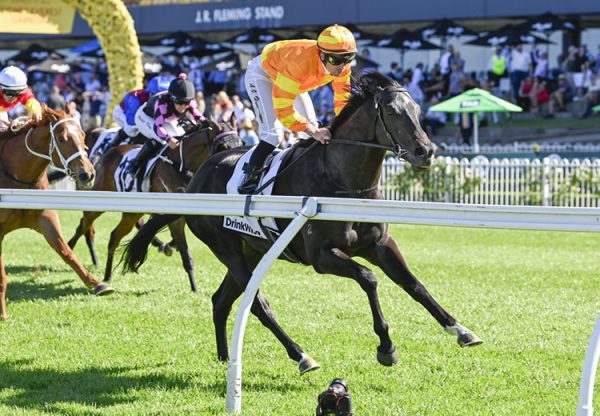 Shangri La Boy pierro Gloaming 750