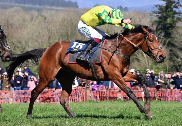 Shes A Fair Maid (Crystal Ocean) Wins The 4Yo Mares Maiden At Monksgrange